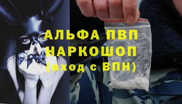 крисы Наволоки